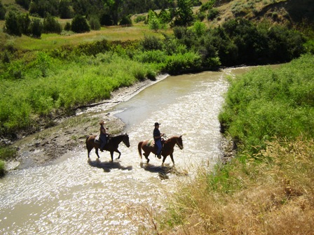 horse rides along the stream